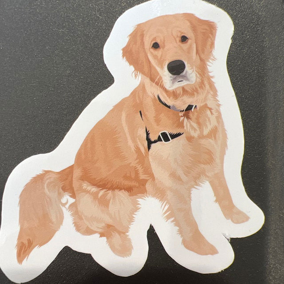 Custom Hand-Drawn Pet Portrait Stickers