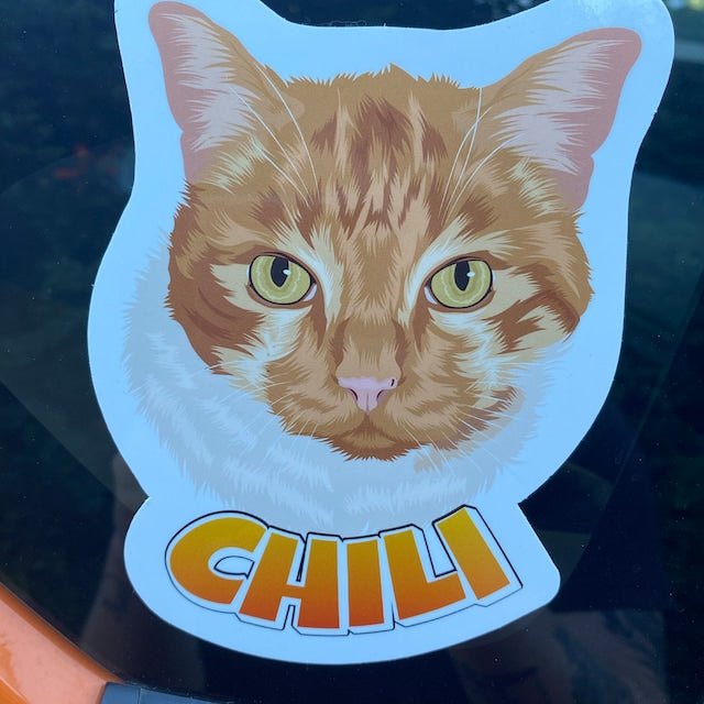 Custom Hand-Drawn Cat Face Stickers