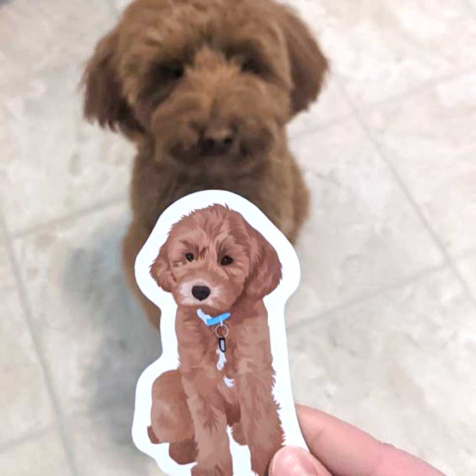 Custom Hand-Drawn Pet Portrait Stickers