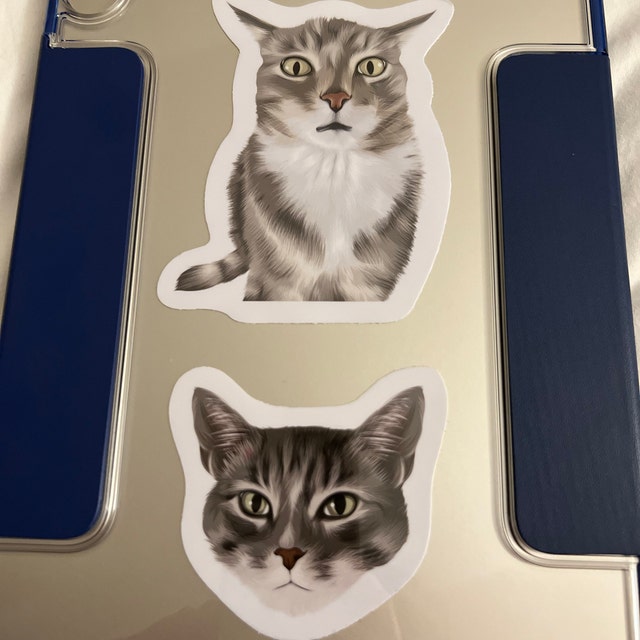 Custom Hand-Drawn Cat Face Stickers