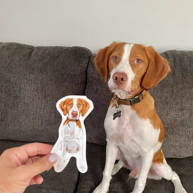 Custom Hand-Drawn Pet Portrait Stickers