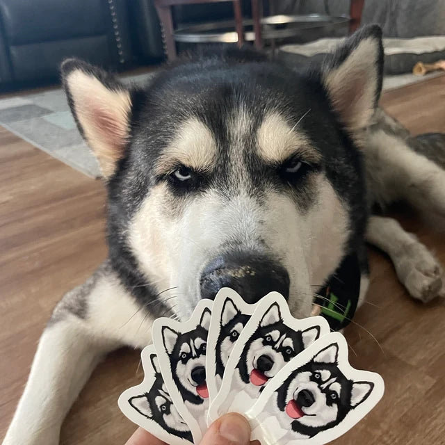 Custom Hand-Drawn Pet Portrait Stickers