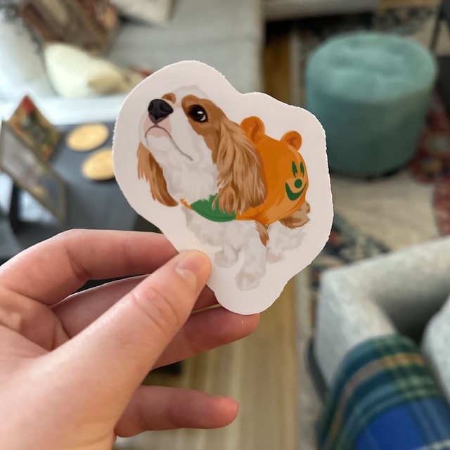 Custom Hand-Drawn Pet Portrait Stickers