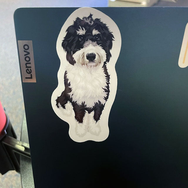 Custom Hand-Drawn Pet Portrait Stickers