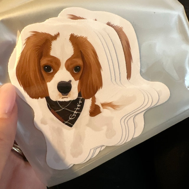 Custom Hand-Drawn Pet Portrait Stickers