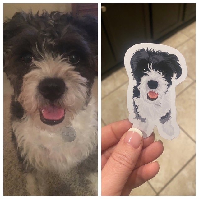 Custom Hand-Drawn Pet Portrait Stickers