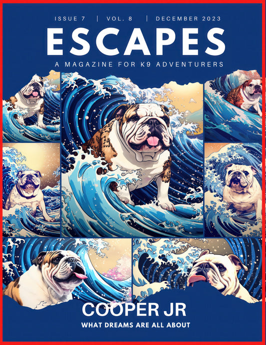 Custom Personalized Adventure Magazine Cover Poster with Your Pet's Cartoon Image and Name